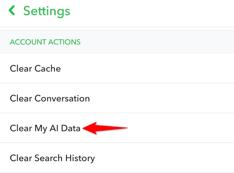 How to Delete Your Data With Snapchat My AI image